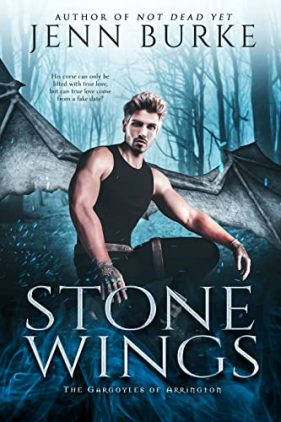 Stone Wings by Jenn Burke