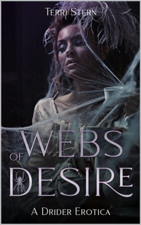 Webs of Desire by Terri Stern