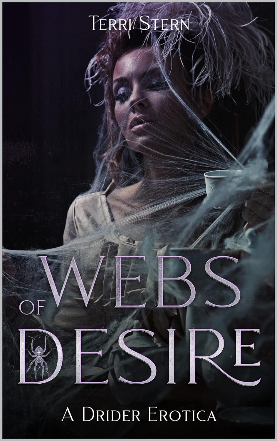 Webs of Desire by Terri Stern